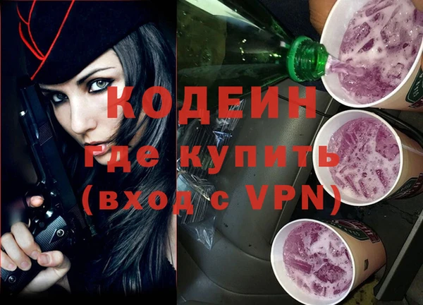 МДПВ Вяземский