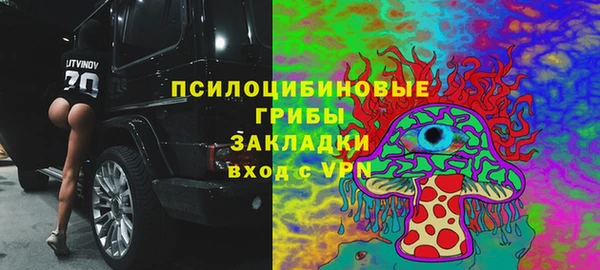гашик Вязьма