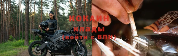 МДПВ Вяземский